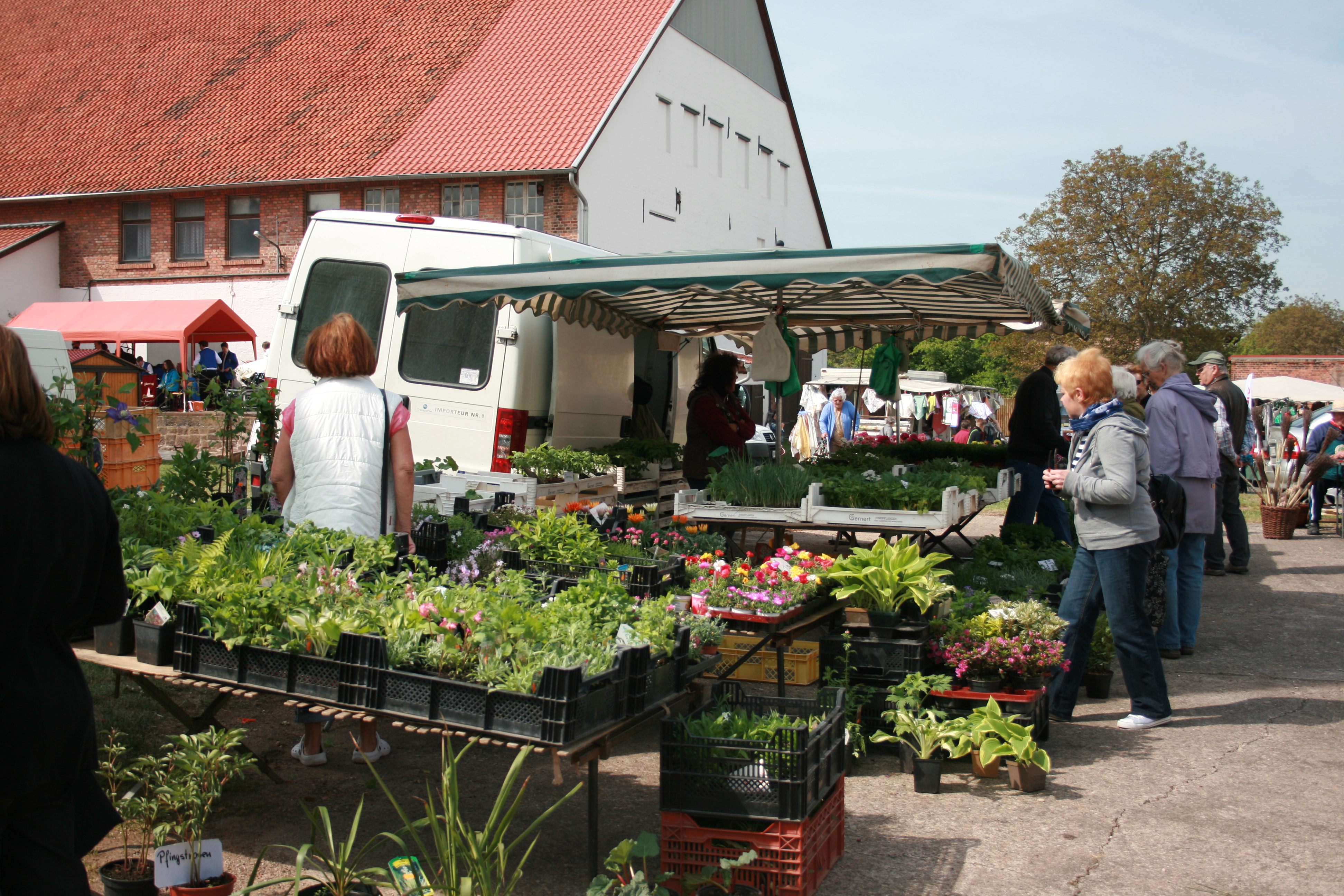 Bauernmarkt Kelbra